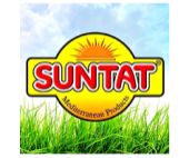 Suntat